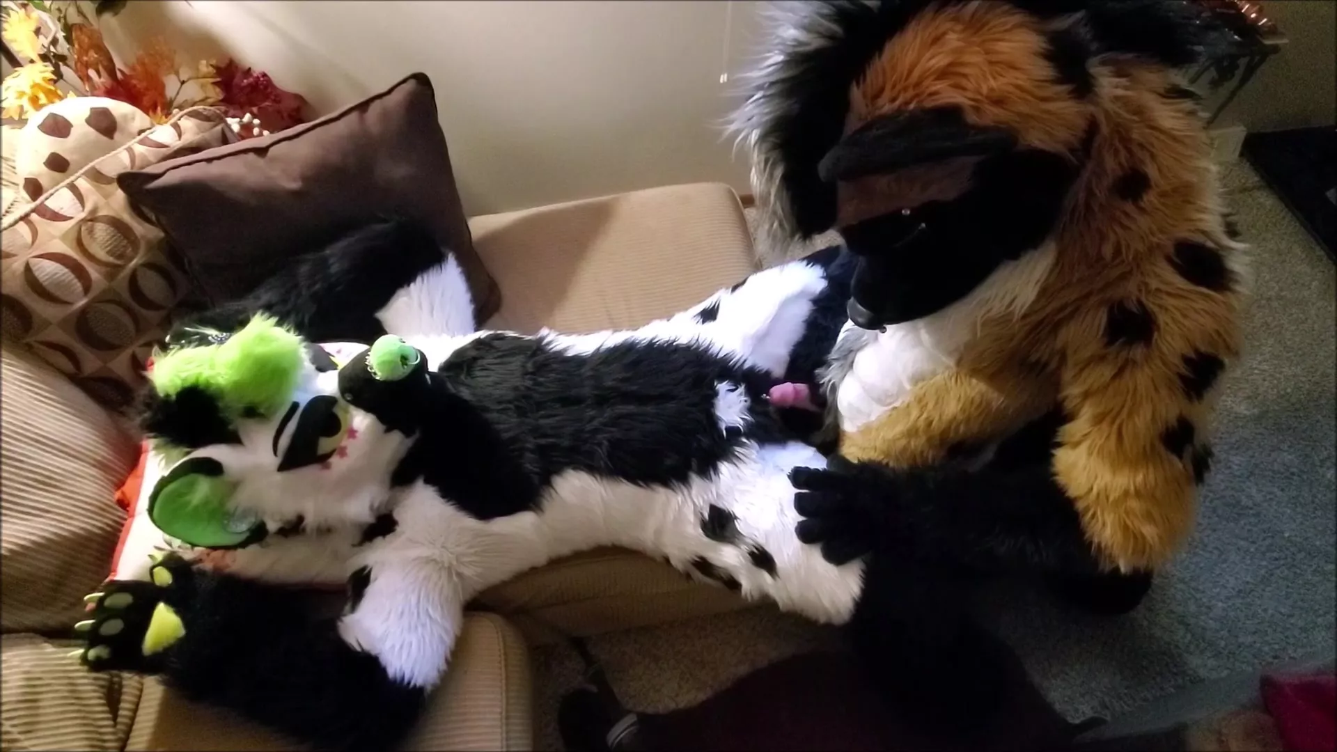 Shemale Fursuit Porn - Fetish amateur couple in fursuit costumes tease each other before fucking  passionately. New HD porn on faponhd